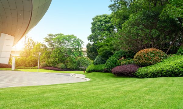 Commercial Shrub Trimming in South Jordan