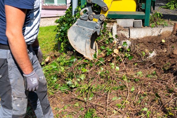 Hedge Removal Service in South Jordan