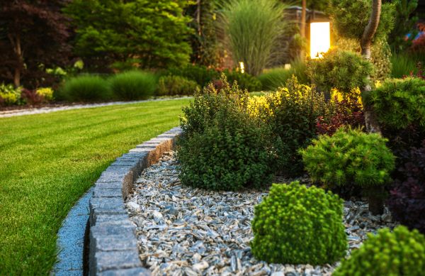 Bush Relocation in South Jordan