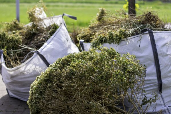 Shrubs Removal in South Jordan