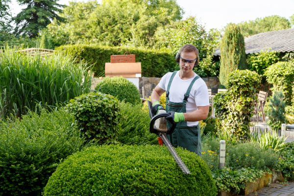 Shrubs Trimming in South Jordan