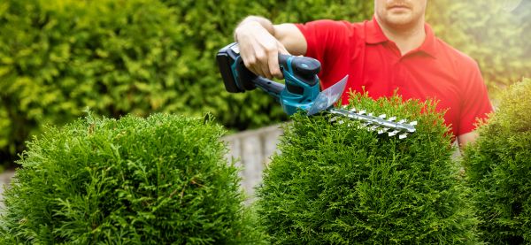 Hedge Shaping Service in South Jordan